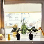 Appartamento Bismarckstrasse 5a, App 1 &quotkleine Flucht&quot *